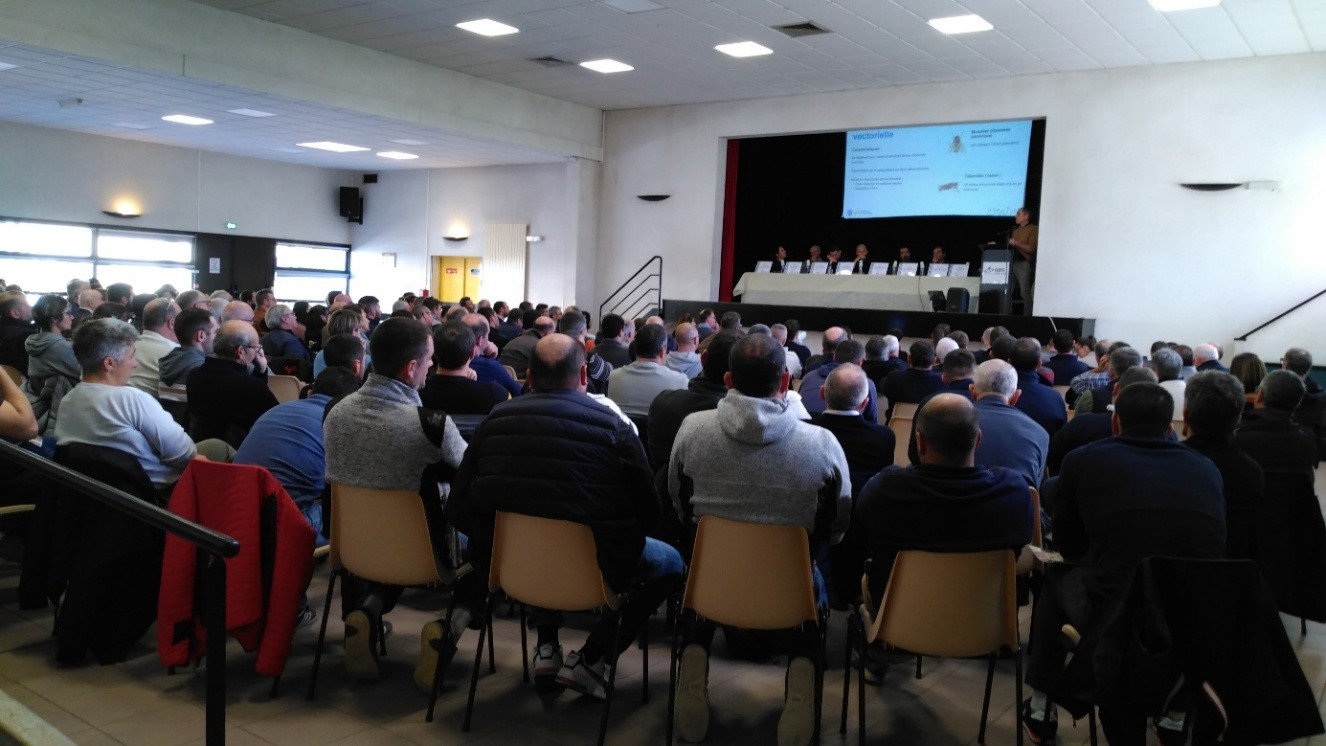 Illustration de l'actualité